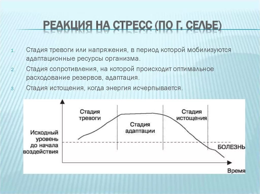 Стадия адаптации стресса