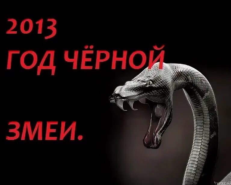 2013 какой змеи. 2013 Год змеи. 2013 Год какой змеи. Змея 2013. 2013 Год был год змеи.