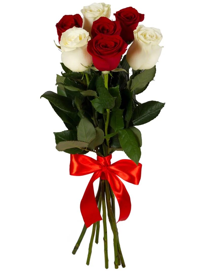 9 роз значение. Шангри ла роза букет. Букет роз 9 шт. Шангри ла роза. Букет красных роз.