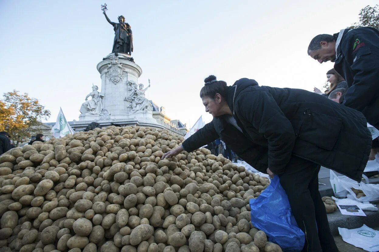 Забастовки нидерландских фермеров. Фермеры франции. Забастовка фермеров во франции. Фермеры франции. Французский фермер.