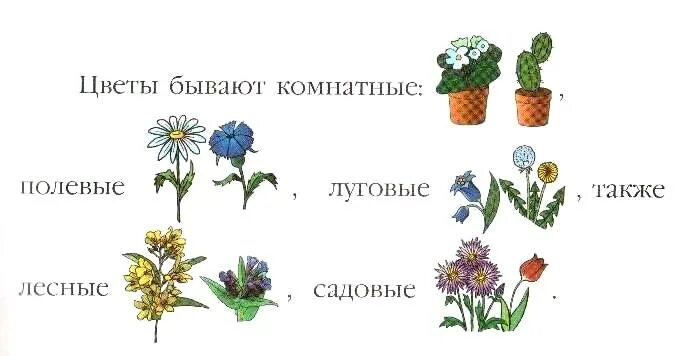 Растения для дошкольников. Цветы для дошкольников. Цветы комнатные садовые полевые. Цветы Полевое растение комнатное. Лексическая тема цветы