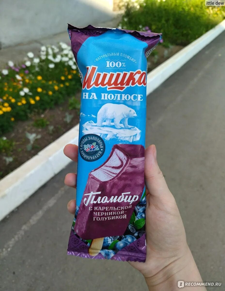 Эскимо мишка на полюсе. Шин лайн мороженое. черничное мороженое. мороженое мишка. мороженое пломбир с черникой.