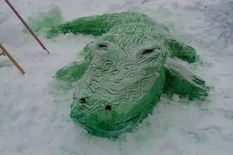 Черепаха елка