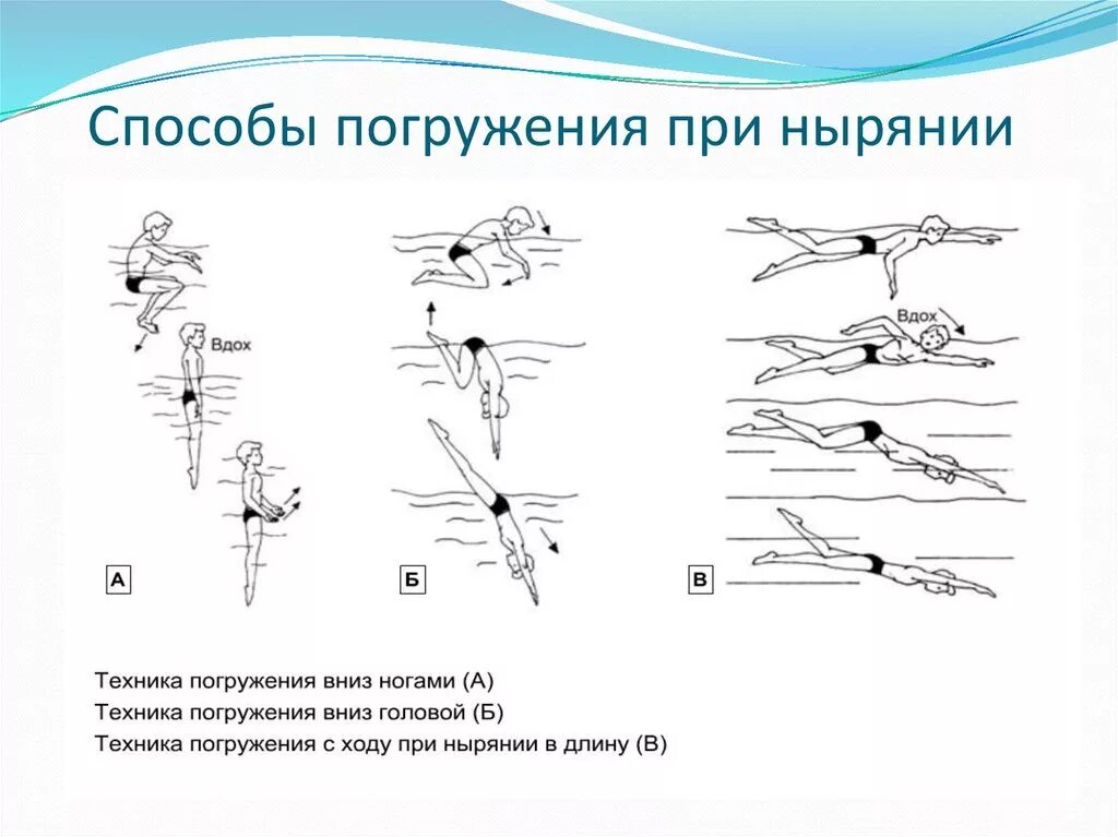 Замедление дыхания при погружении в холодную воду. Техника ныряния. Техника ныряния в длину. Способы при нырянии. Техника ныряния в плавании.