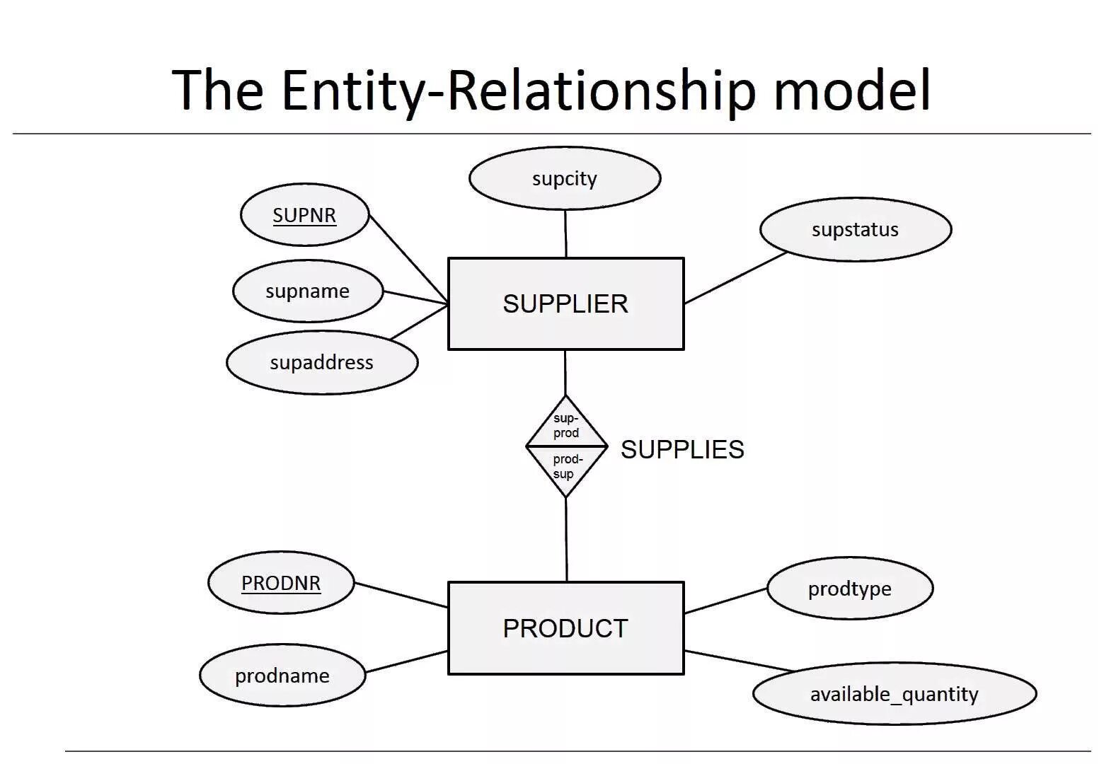 Late entity. Модель entity relationship. entity relation model. entity data model. entity relations data model.