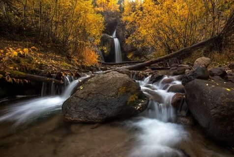 Natural fall