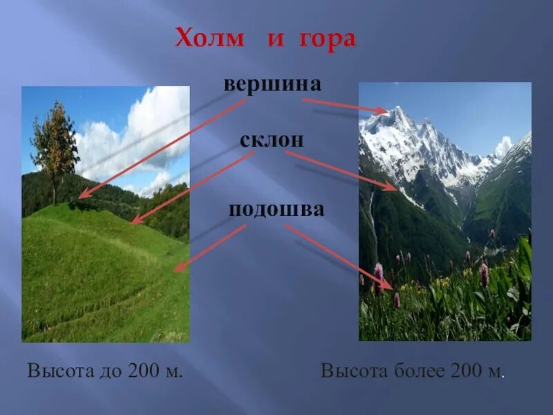 Подошва холма. Вершина склон подошва. Горы и холмы окружающий мир. Отличие горы от холма. Сходство горы и холма.