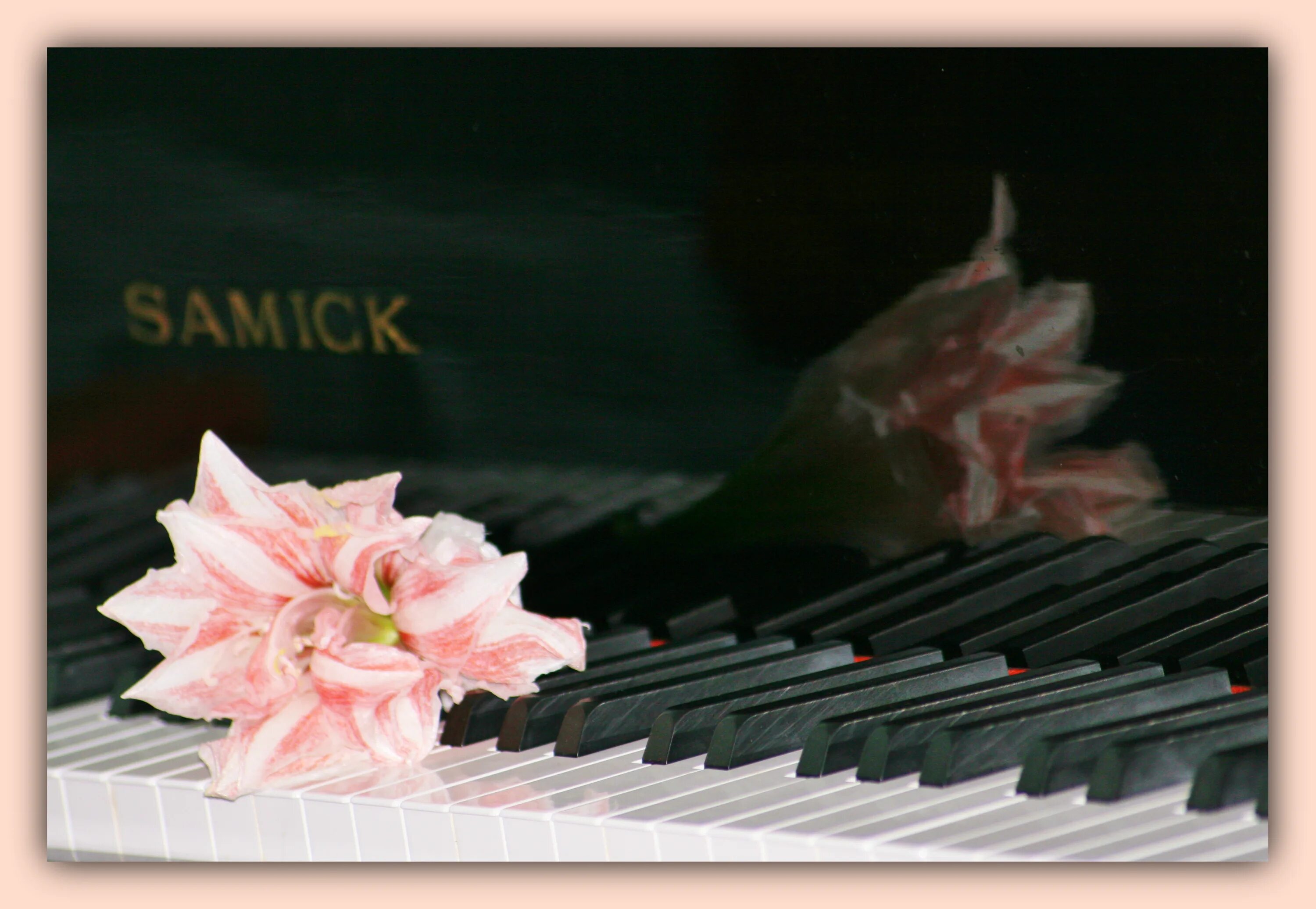 Безумно красивая мелодия. Цветы и Ноты добрый вечер. Лилия на клавиши пианино картинки. Картинка пианино, и цветы лилии. Безумно красивая музыка для размышления.