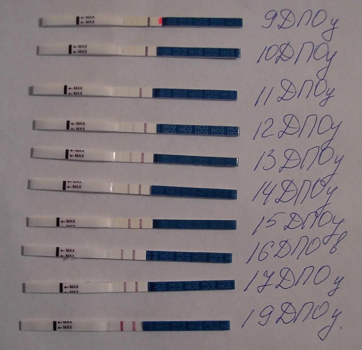10 дпп тест отрицательный. Тест на беременность 8 день после переноса эмбриона. Тест на беременность на 8 день после криопереноса. Тесты после подсадки. Тест на беременность после эко.