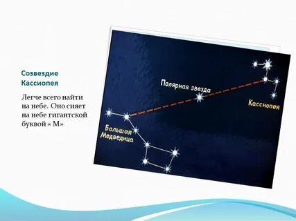 Самая яркая звезда созвездия 5 букв