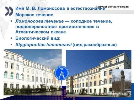 Течение ломоносова