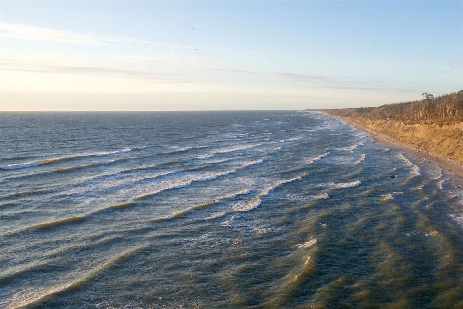 Береговая линия Балтийского моря. Балтийское море мелководное. Загрязнение Балтийского моря.