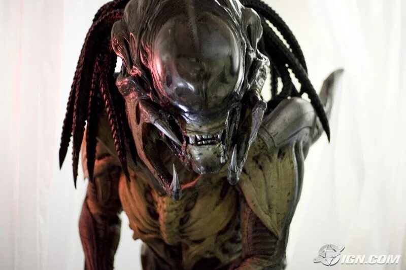 Aliens vs predator requiem. Чужой против хищника Реквием предалиен. Чужие против хищника Реквием 2007 предалиен. Чужой предалиен Ксеноморф.