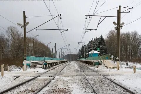 Новопетровское шаховская