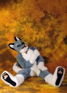 Corey coyote murrsuit - empireslovakopen.sk.