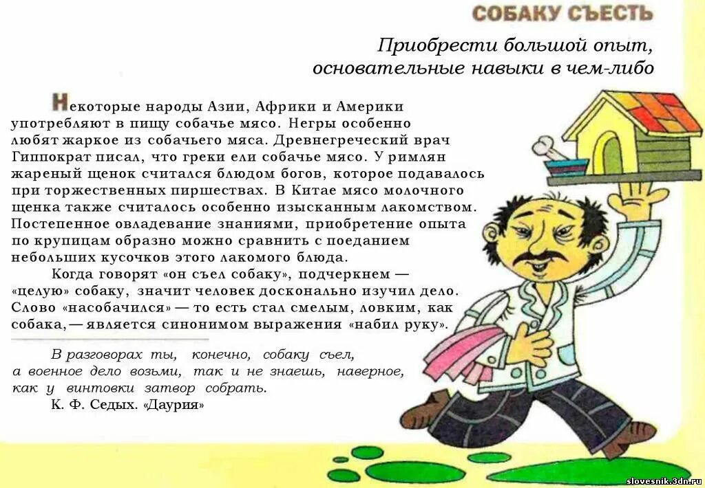 Что значит выражение собака. Собаку съел значение фразеологизма. Фразеологизмы про собаку. История происхождения фразеологизма собаку съел. Собаку съел фразеологизм.