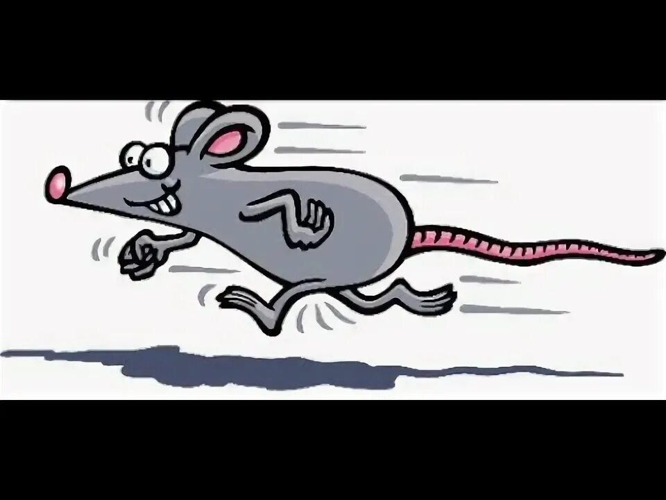 Крыса бегает большая. Мышка бежит. крыса бегает. смешная испуганная крыса. крысы разбегаются.