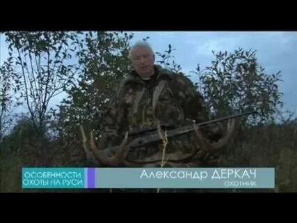 Как манить лося