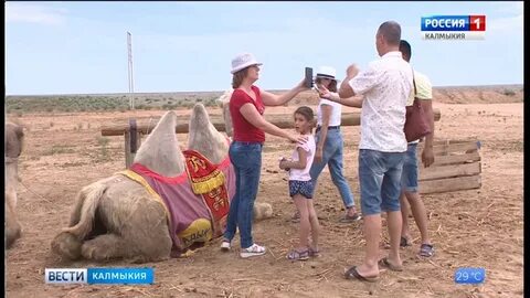 Найден калмыкия