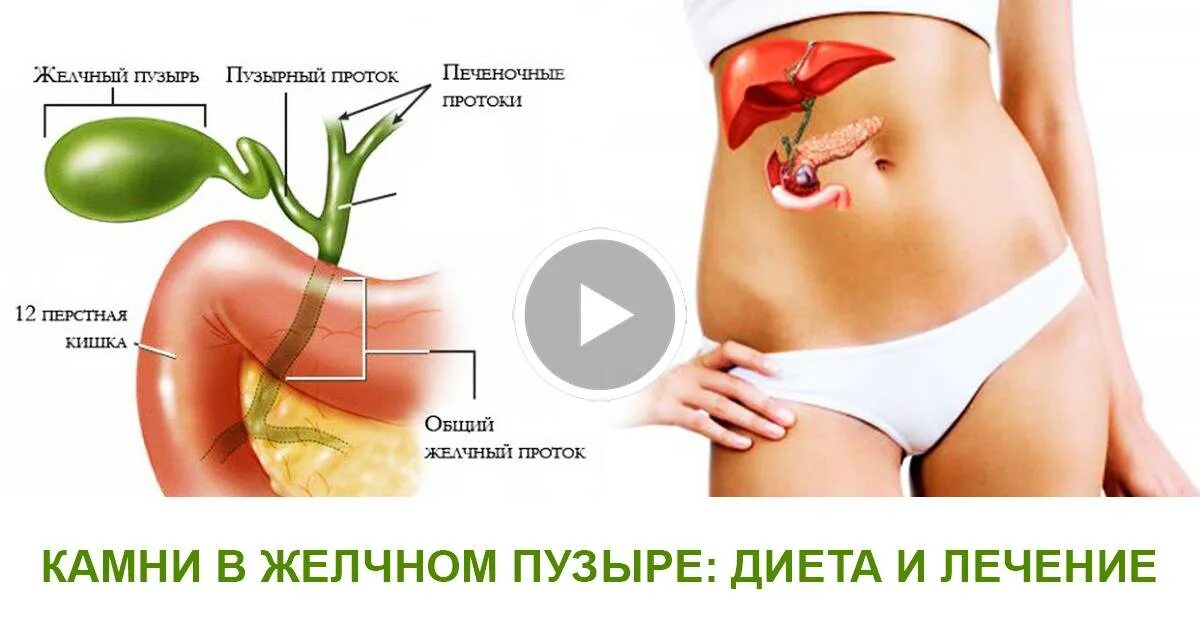 сигмоидит симптомы у женщин лечение болит. сигмоидит симптомы у женщин лечение болит. сигмоидит симптомы у женщин лечение болит. прямая кишка и сигмовидная кишка. сигмовидная кишка сигмоидит.