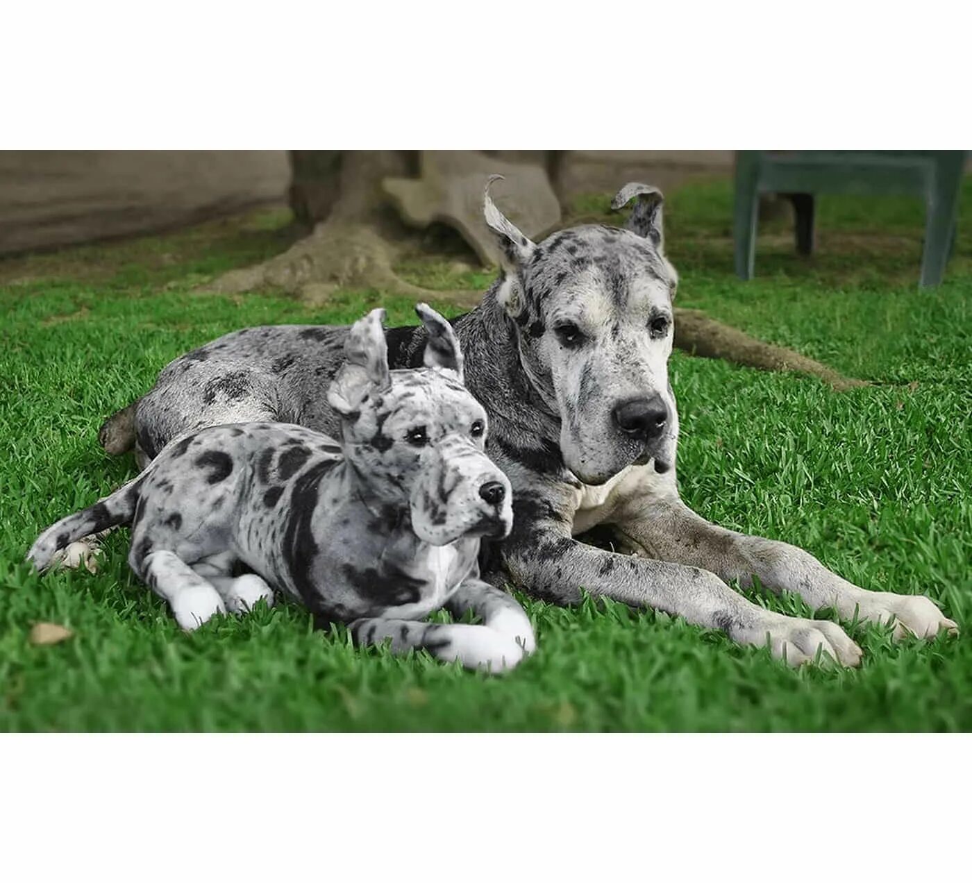 Cuddle clones. Cuddle clones в россии. cuddle clones заказать в россии.
