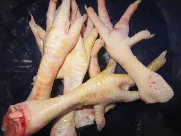 куриная лапка с мниr. тушка куриная. куриная ножка арт. куриная лапа с когтями накрашенными. курица с накрашенными когтями.