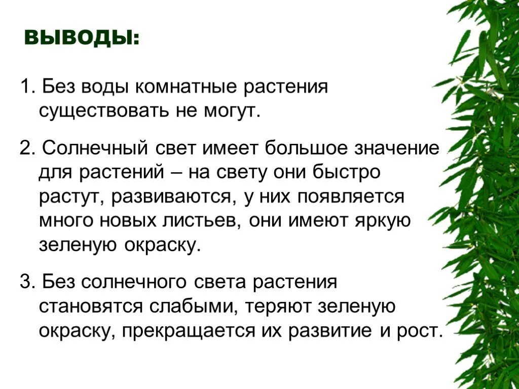 Для чего нужен свет растениям. Вывод про комнатные растения. Проект на тему влияние света на комнатные растения. Роль света в жизни растений.