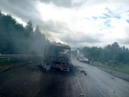 Автобус петербург себеж