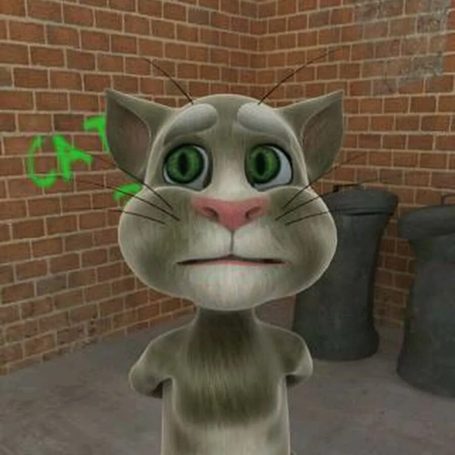 Tom 2010. Talking Tom 2010. Игра talking Tom Cat (2010). Игра talking Tom Cat (2010) андроид. Talking Tom 2011.