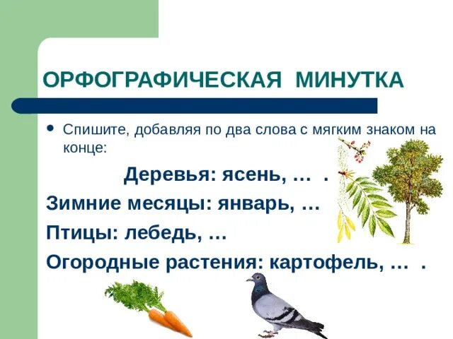 Лекарственные травы. Сушеные травы. Слово растения. Травка родственные слова. Целебные травы.