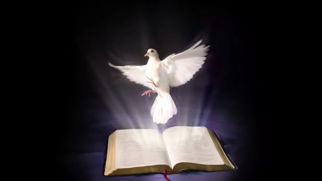 Мудрые духи. Духовность картинки. Человек на краю горы. Мудрые духи. Илья ветошкин.