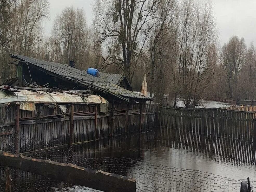 Уровень воды в реке днепр в лоеве. Беларусь паводки. Вода река. 6 Апреля уровень воды Сакмары. Уровень воды в реке СОЖ.