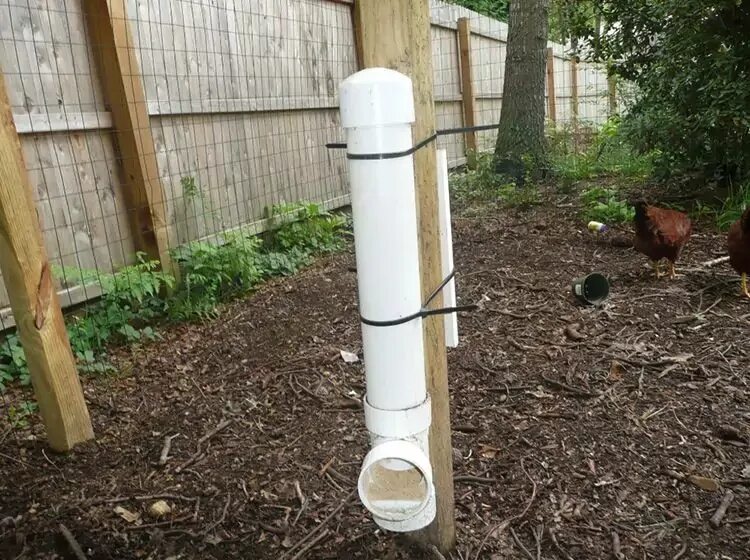 Кормушки для кур из пластиковой трубы. Кормушка для птиц из трубы. Кормушка для птиц из канализационной трубы. Кормушка для птиц из пвх. Кормушка для кур из трубы пвх 110.
