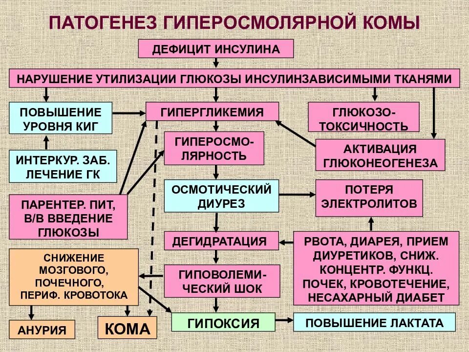 Гиперосмолярное гипергликемическое состояние патогенез. Гипергликемическая гиперосмолярная кома патогенез. Механизм развития гиперосмолярной комы. Патогенез гипергликемической комы. Признаки патогенеза