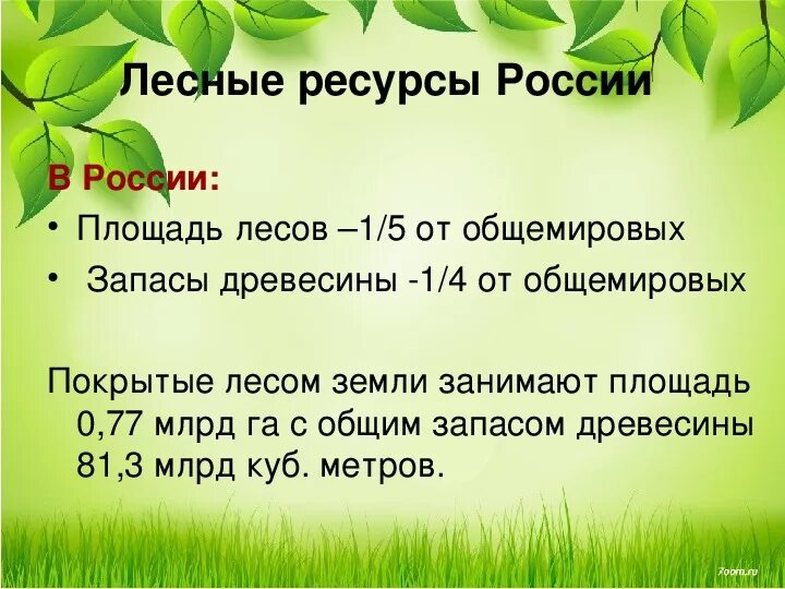 Какими лесными ресурсами богата россия. Лесные ресурсы России. Состав лесных ресурсов России. Лесные запасы России. Лесные богатства РФ.