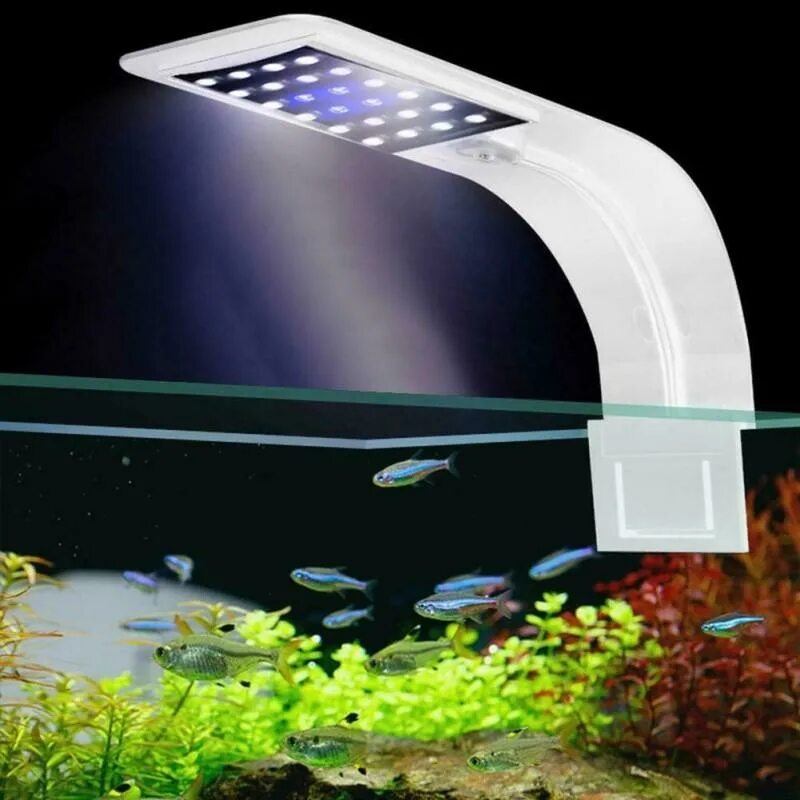 Аквариум led освещение. Светильник для аквариума 910438/led. светильник 3 led mini aquarium light. led fish tank светильник. лампа светодиодная для аквариума 15 вт эра.