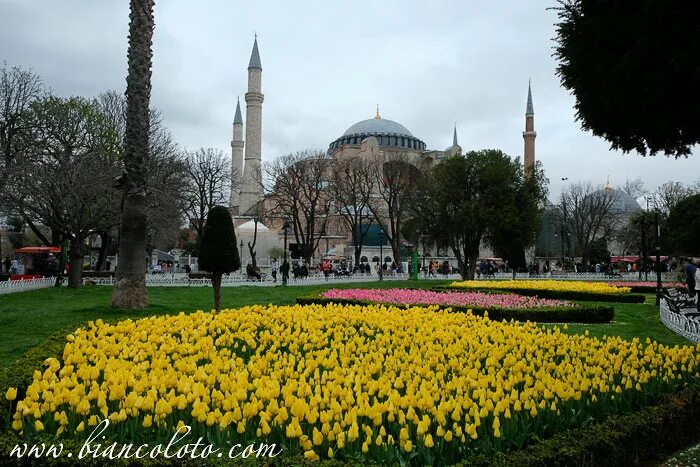 фестиваль тюльпанов в стамбуле 2022. турция фестиваль тюльпанов 2021. парк гюльхане в апреле. фестиваль тюльпанов в стамбуле 2023. фестиваль тюльпанов в турции.