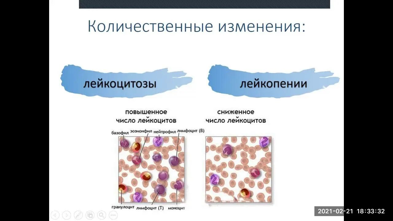 Патология лейкоцитов. Лейкоцитоз и лейкопения. Лейкоцитозы и лейкопении патофизиология. Патогенез лейкоцитоза. Лейкоцитоз классификация патофизиология.