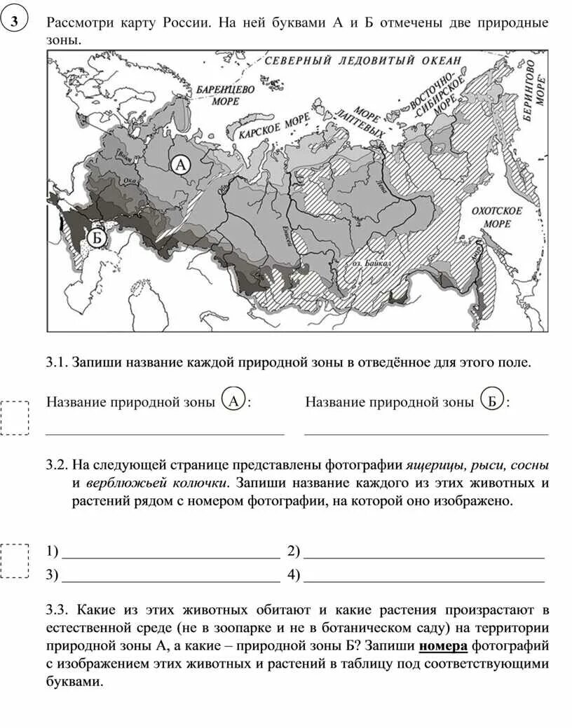 Природные зоны россии впр ответы. Природные зоны России 4 класс окружающий мир ВПР. Название каждой природной зоны. Название каждой природной зоны в отведенное для этого поле. Запиши названия природных зон.