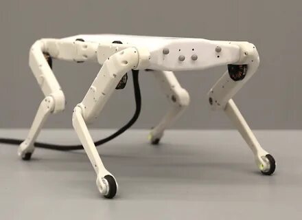 Legged robots