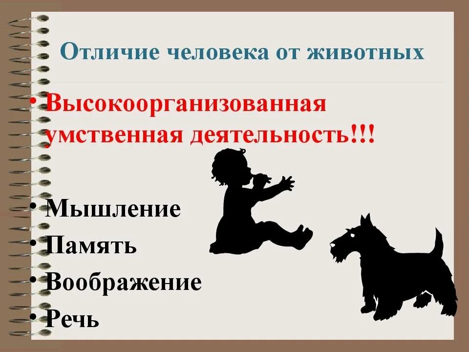 Записать отличие человека от животного. Отличие человека от животных. что отличает человека от животного. чем человек отличается от животного кратко.