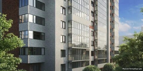 Оазис петербург