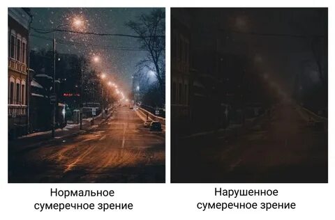 Как люди видят времена года