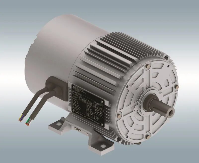 Электродвигатель iec71a4. Permanent Magnet Electric Motor шильдик. Wem Electric электродвигатели. Electric Motor 134kwt. Двигатель электромотора