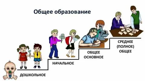 11 классов образования это