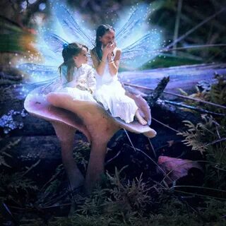Fairy sister
