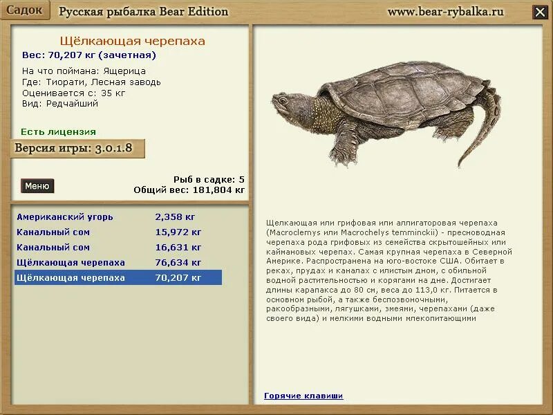 русская рыбалка 3 ахтуба черепаха. вес черепахи в среднем. где ловить черепах. русская рыбалка 3. где ловить черепах.