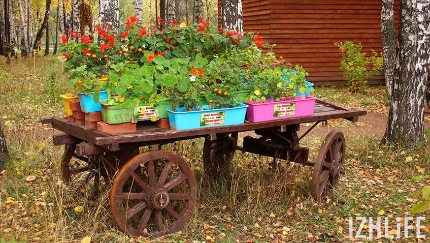 Парк Космонавтов. Парк Космонавтов Ижевск сюрприз. Парк Космонавтов Ижевск Цветочная мозаика 2023. Ижевск парк Космонавтов вечером. Выставка цветов ижевск 2024 парк космонавтов