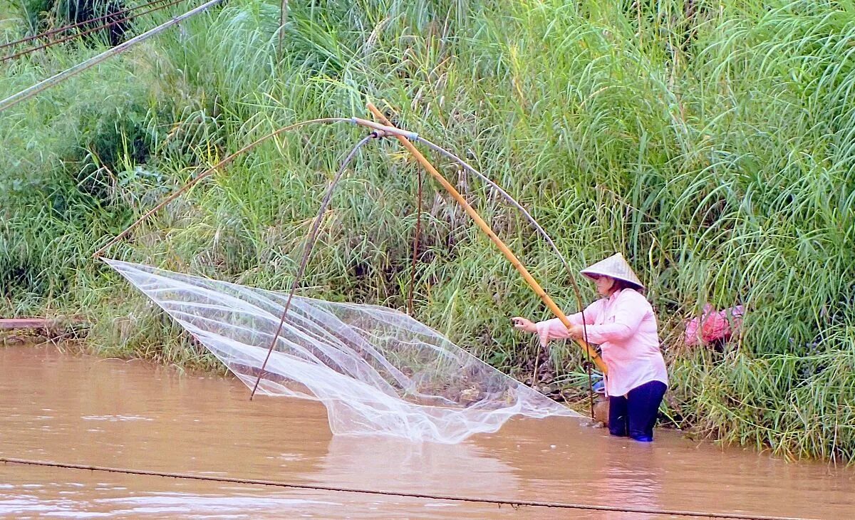 Squaring net