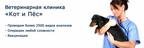 Ветклиника кот и пес
